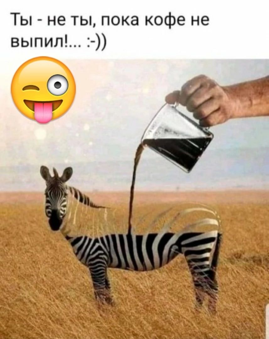 Ты не ты пока кофе не выпил