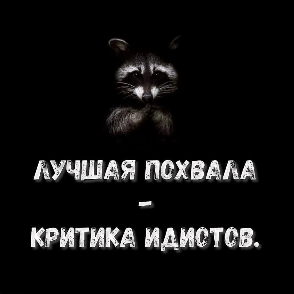 ч щ дп АУЧШАЯ ПОХВАЛА КРИТИКА ИАИОТОВ