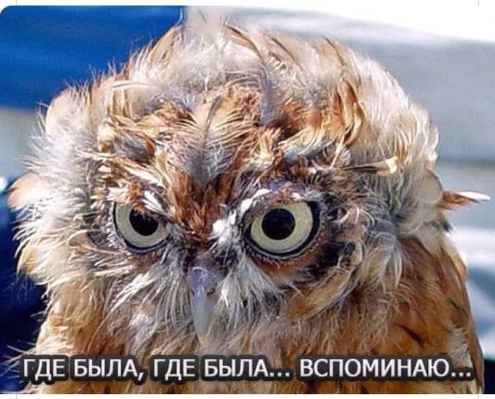 Гиш ад ГДЕ _ЫЛА ГДЕ БЫПАЁЁ вспоминмо