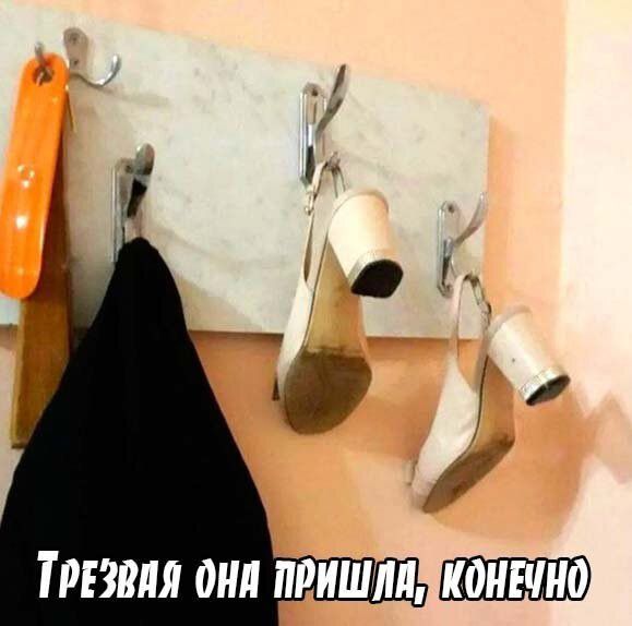 Ттвия они пришли