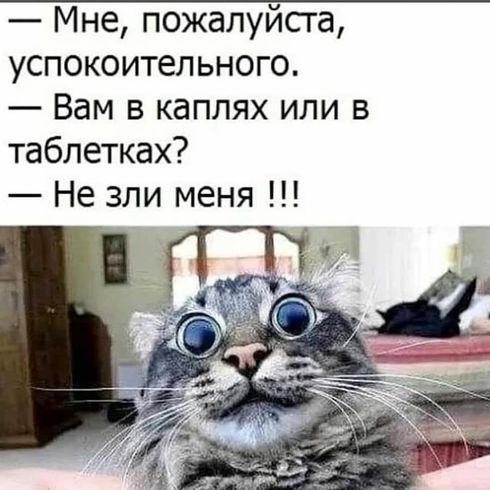 Мне пожалуйсга успокоительного Вам в каплях или в таблетках Не зли меня