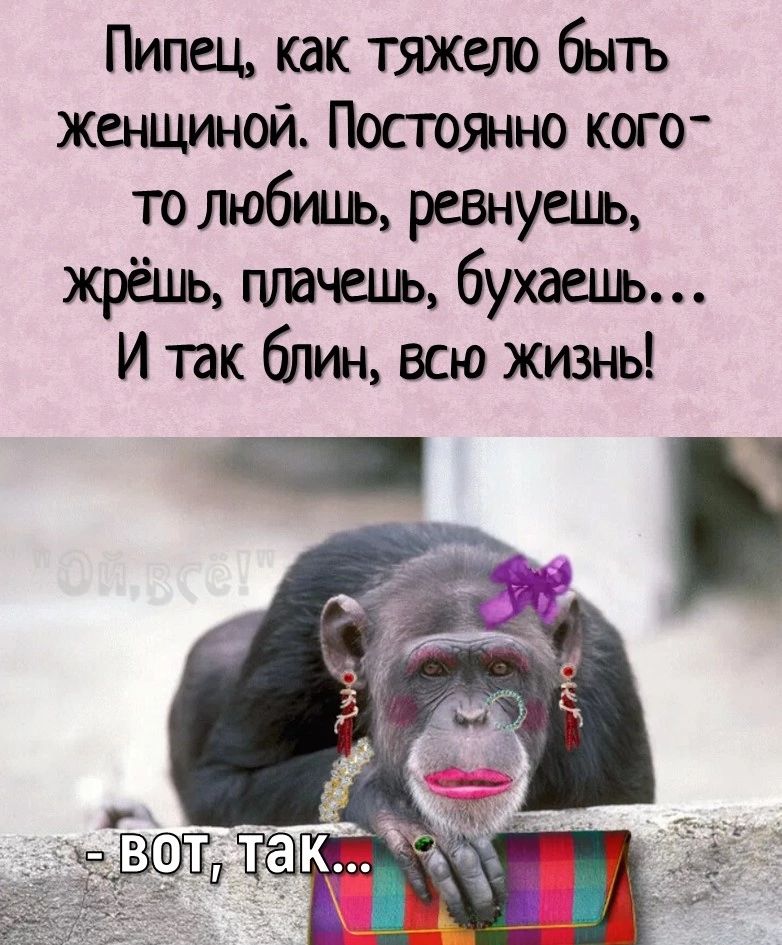 Пипец как тяжело быть женщиной Постоянно кого то любшь ревнуешь жрёшкъ плачешь бухаець и так блин всю жизнь