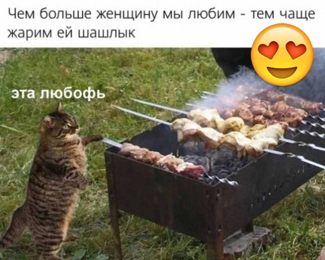 Чем больше женщину мы любим тем чаще жарим ей шашлык эта тобофь