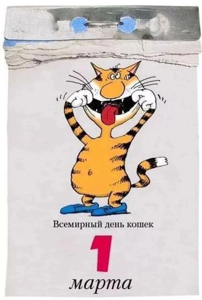 Всемирный день кошек марта
