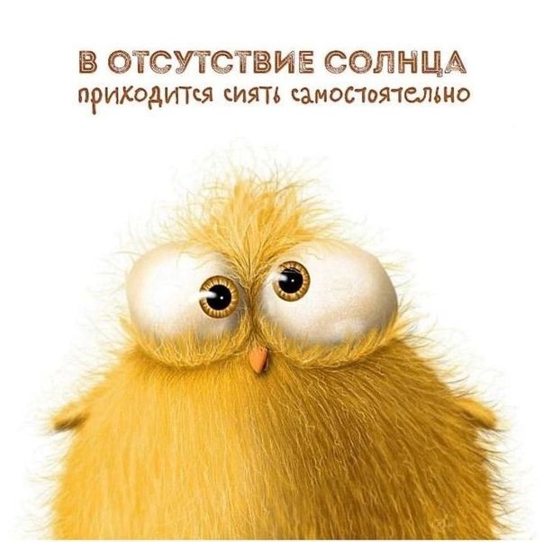 В ОТСУТСТВИЕ СОЛНЦА приходится СИЛА амос тпышо