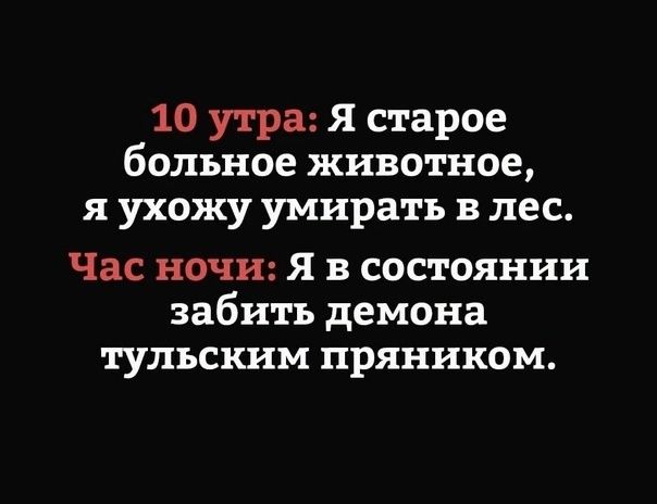 10 утра Я старое больное животное я ухожу умирать в лес Час ночи Я в состоянии забить демона тульским пряником