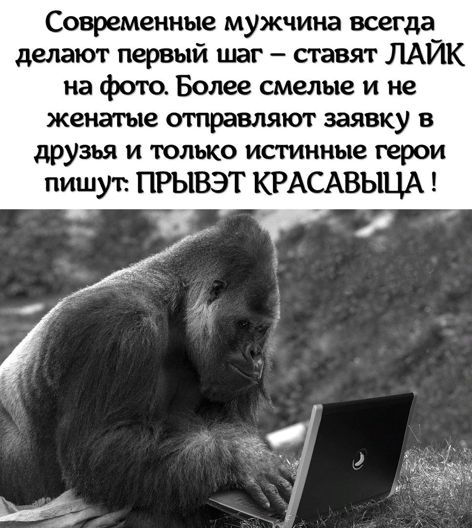 Современные мужчина всегда делают первый шаг сгавят ЛАЙК на фОК Более смелые и не женатые отправляют заявку в друзья и только истинные герои пишут прывэт КРАСАВЬЩА