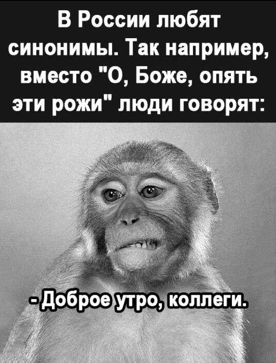 В России любят синонимы Так например вместо О Боже опять эти рожи люди говорят