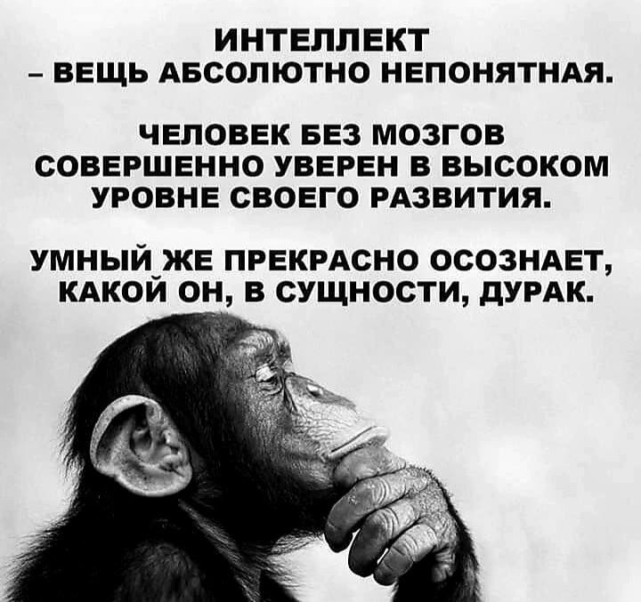 ИНТЕЛЛЕКТ ВЕЩЬ АБСОЛЮТНО НЕПОНЯТНАЯ ЧЕЛОВЕК БЕЗ МОЗГОВ СОВЕРШЕННО УБЕРЕН В ВЫСОКОМ УРОВНЕ СВОЕГО РАЗВИТИЯ умныйже пгекгдсно осозндет кдкои он в сущности думи