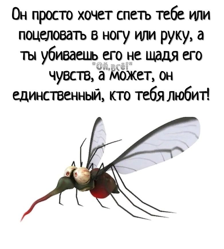 Он просто хочет спеть тебе или поцеловатъ ногу или рукуа ты убиваець его не щадя его чувств а может он шина венный кто тебя люби11