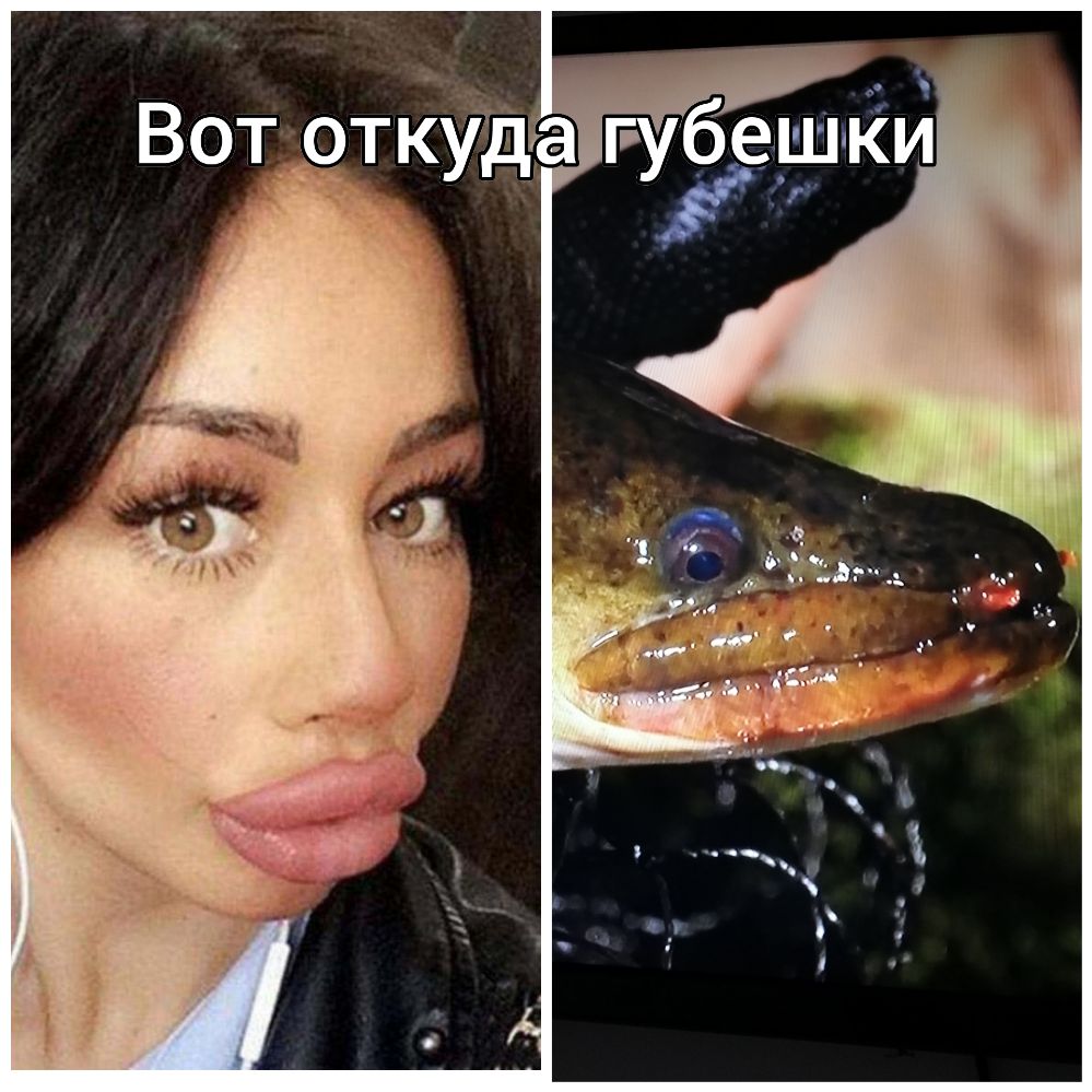 т _ Вот от