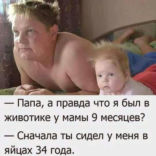 ч _ ш Папа а правда что я был в животике у мамы 9 месяцев Сначала ты сидел у меня в яйцах 34 года