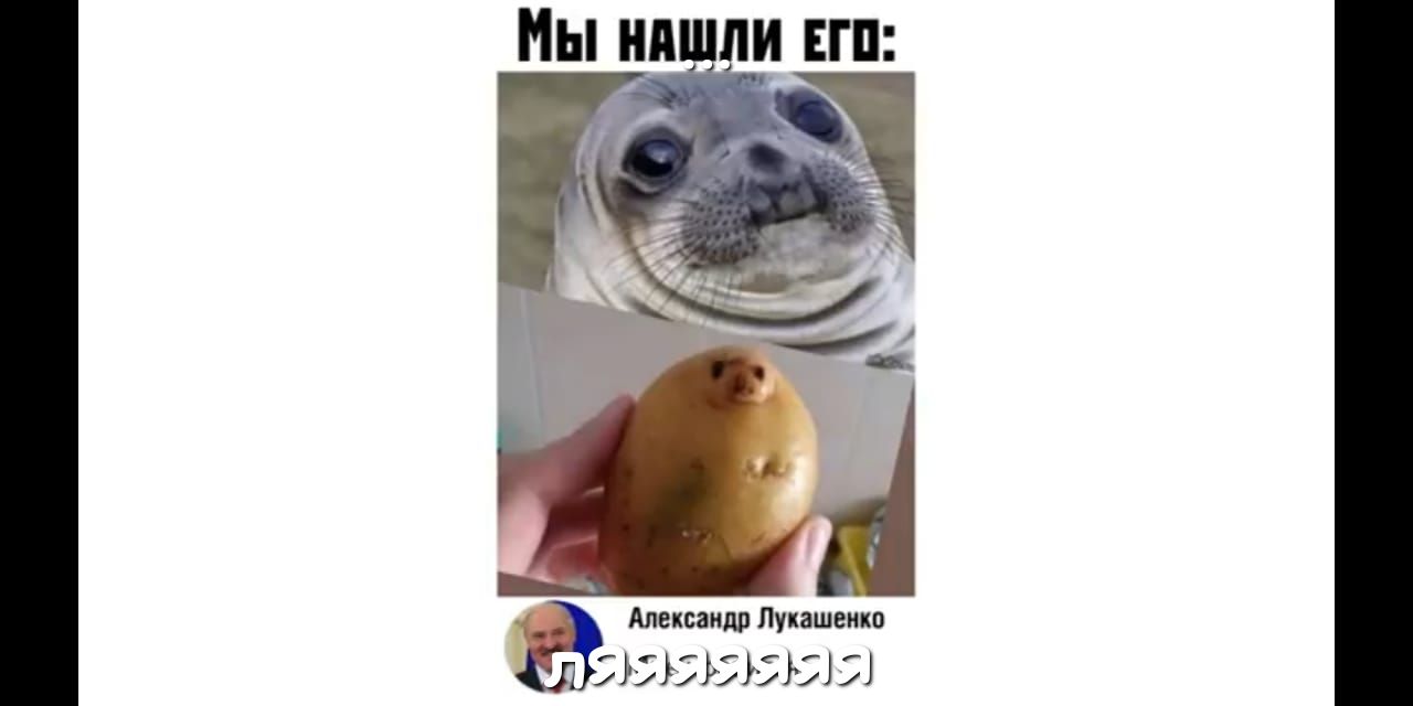 Мы ни ли гп _ Александр Лукашенко 555 5 313