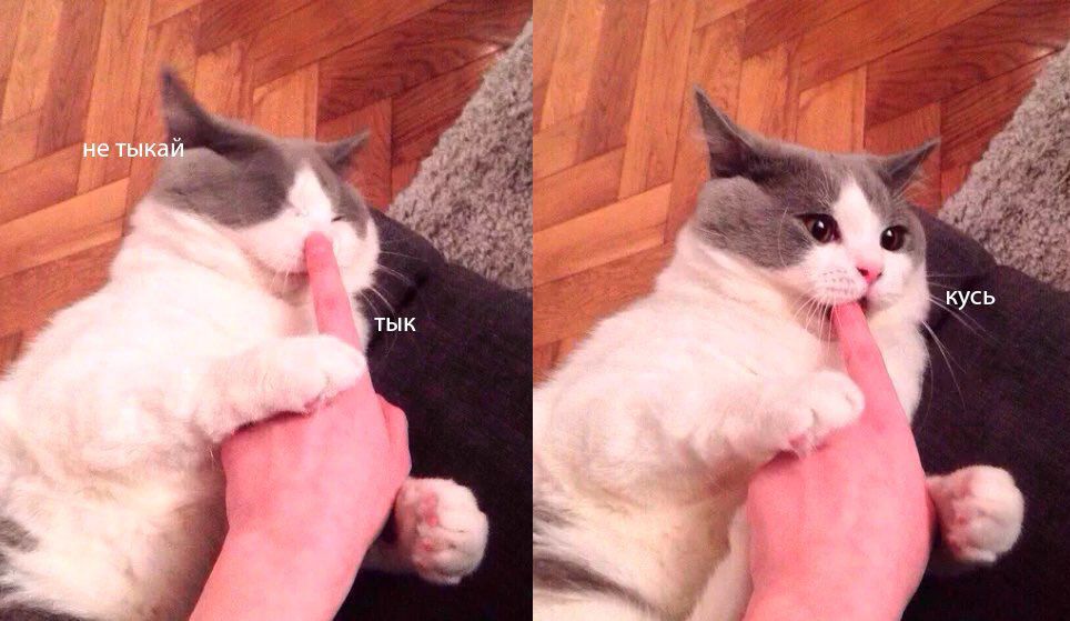 ЗГ