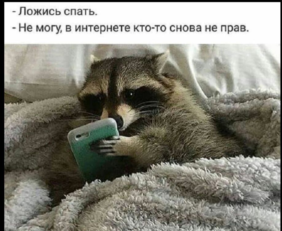 Ложись спать Не могу в интернете кто то снова не прав