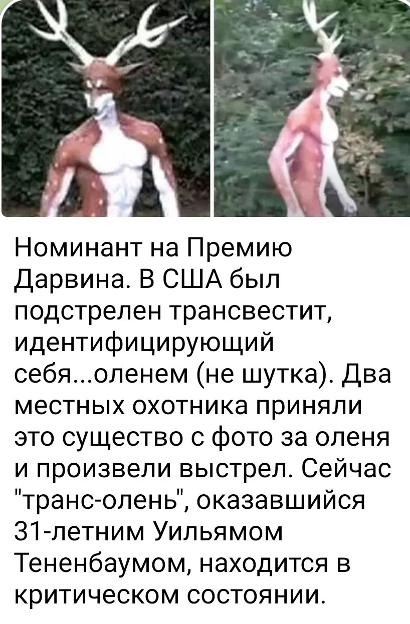 _ Номинант на Премию Дарвина В США был подстрелен трансвестит идентифицирующий себяопенем не шутка Два местных охотника приняли это существо с фото за оленя и произвели выстрел Сейчас транс олень оказавшийся 31летним Уильямом Тененбаумом находится в критическом состоянии