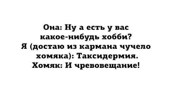 Оиа Ну а есть у вас какое нибудь хобби я достаю из кармана чучело хомяка Таксидермип Хомяк и чревовещаиие