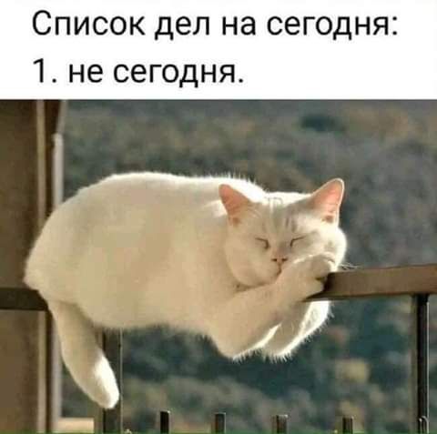 Список дел на сегодня 1 не сегодня