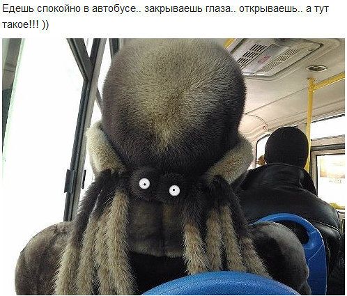 Едешь сппкпйнп 5 автпбпсе крываешь г пткрываешь Тут такие и
