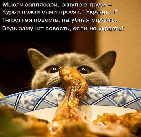 Мысли заппясали ёкнупо в груди Курьи ножки сами просят УкращЬЛ Тягостная повесть пагубная СТРЧШЁЪ Ведь замучит совесть если не у