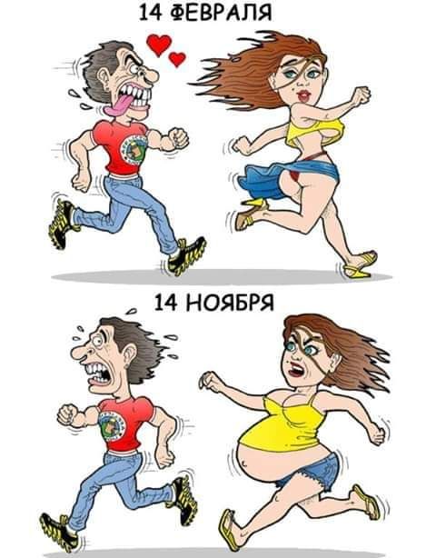 14 ФЕВРАЛЯ 14 НОЯБРЯ