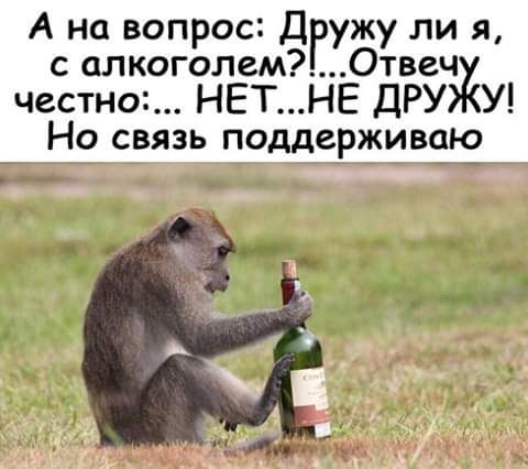 А на вопрос Дэужу ли я с алкоголемОтвеч честно НЕТНЕ ДРУ У Но связь поддерживаю