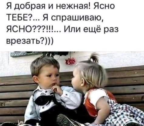 Я добрая и нежная Ясно ТЕБЕ Я спрашиваю ЯСНО Или ещё раз врезать