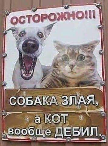 т __вообщщ дЁЁУШ Ф А