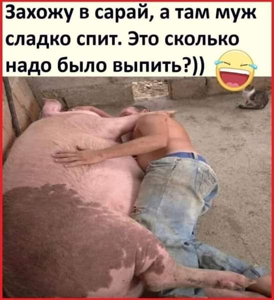 Захожу в сарай а там муж сладко спит Это сколько