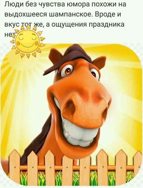 Люди без чувства юмора похожи на выдохшееся шампанское Вроде и вкусдтот же а ощущения праздника нет __ за кг за в 525