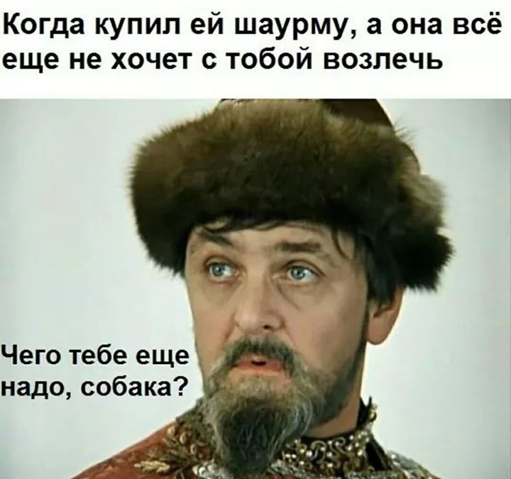 Когда купил ей шаурму а она всё еще не хочет с тобой возлечь Чего тебе еще _ надо собака
