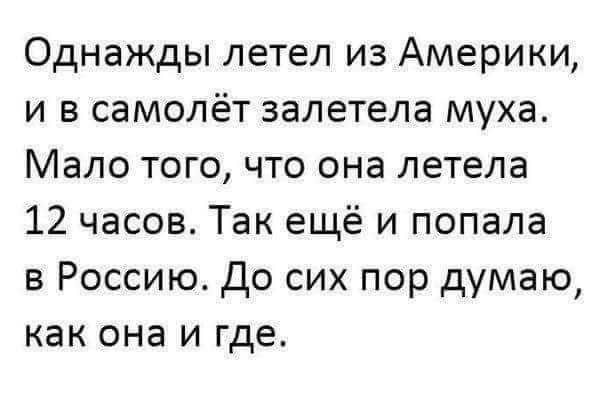 Однажды летел из Америки и в самолёт залетела муха Мало того что она летела 12 часов Так ещё и попала в Россию До сих пор думаю как она и где