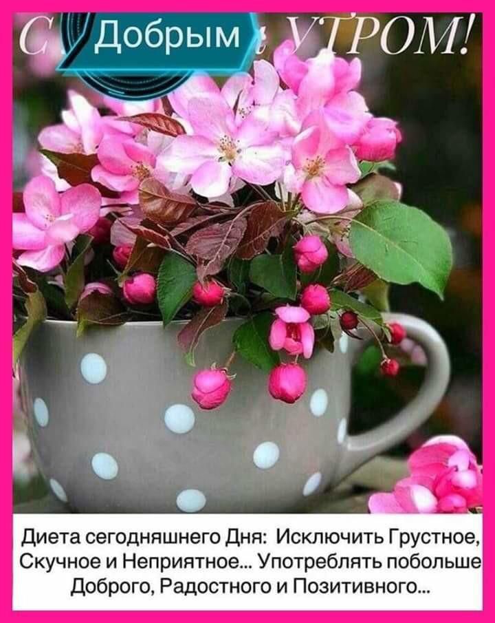 Диета сегодняшнего Дня Исключить Грустное Скучное и Неприятное Употреблять побольше Доброго Радостного и Позитивного