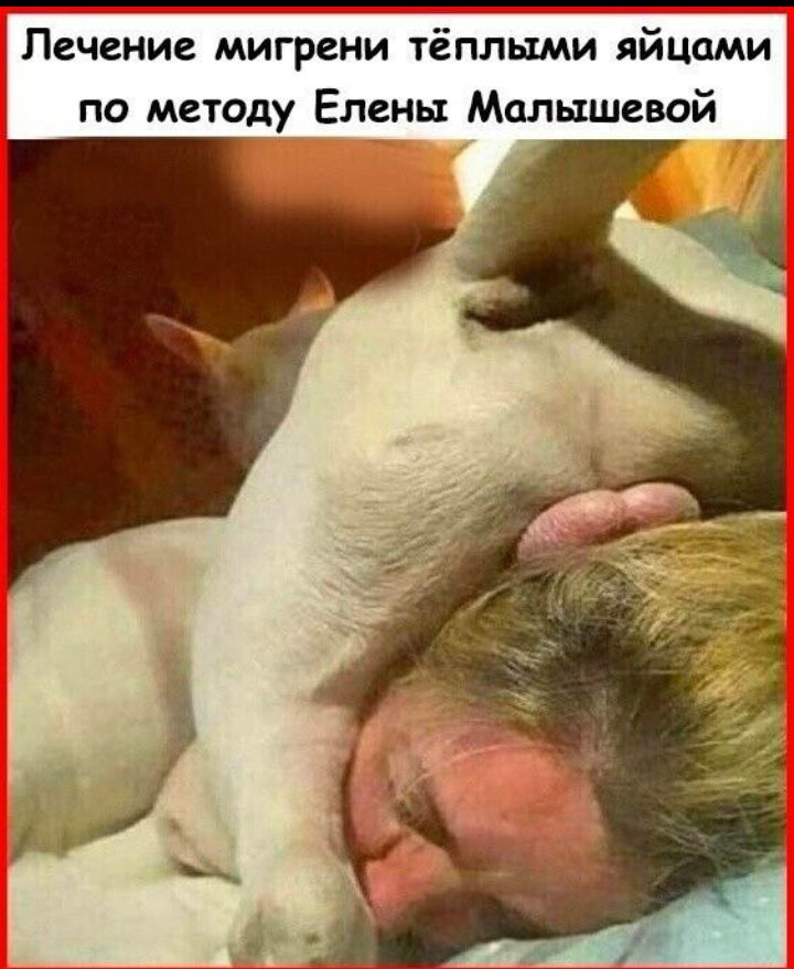 Лечение мигрени тёплыми яйцами по методу Елены Малышевой