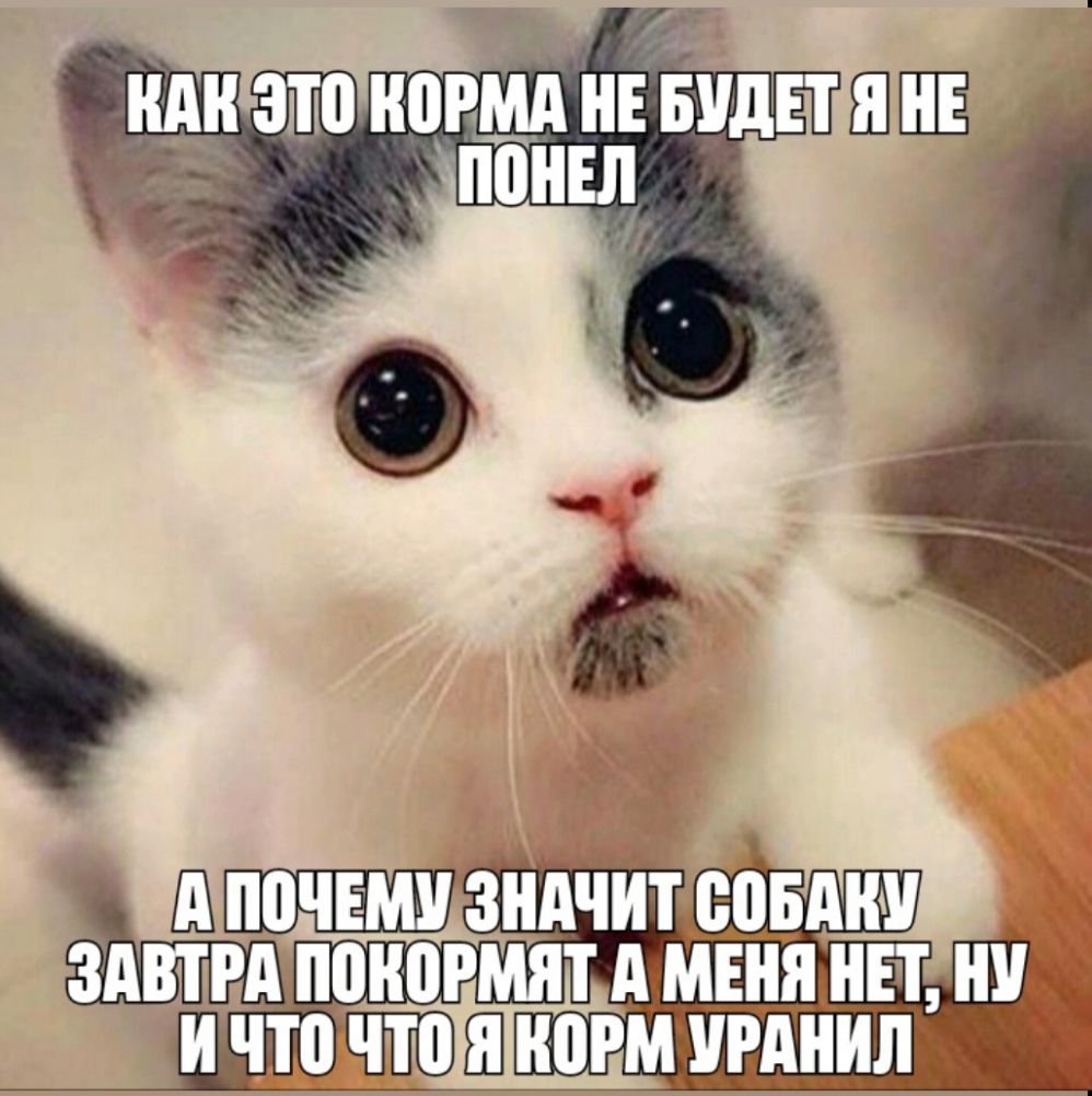 Зі РМА НЕ БУДЕТ ШШЁ ЗАВТРАНПРМЯТ деМЕНЯЩЕЪ ИЧП ЕПЁШШ МРМЁМРМММЛМ Ё