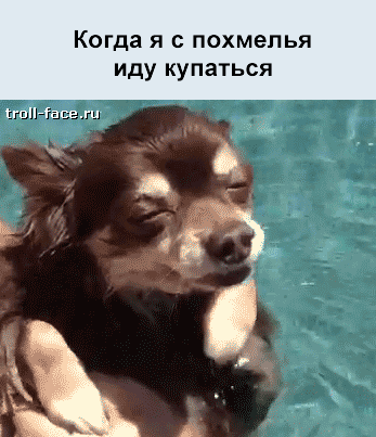 КОГДЗ Я С ПОХМЭПЬЯ иду купаться пиара