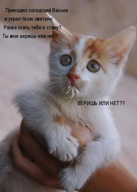 соседский Биши 110 сити Развит пипл Ты ине веришь ш