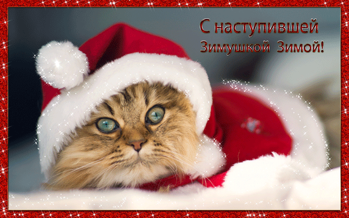 дт нщццкиншгчт у и
