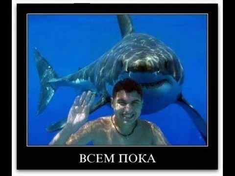 ВСЕМ ПОКА