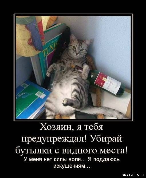 Хозяин я тебя предупреждал Убирай бутылки видного места У меня нет силы воли Я поддаюсь искушениям вівтогмвт