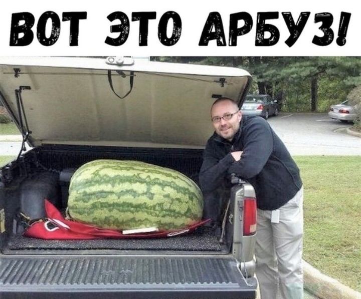 8012 АРБУЗ