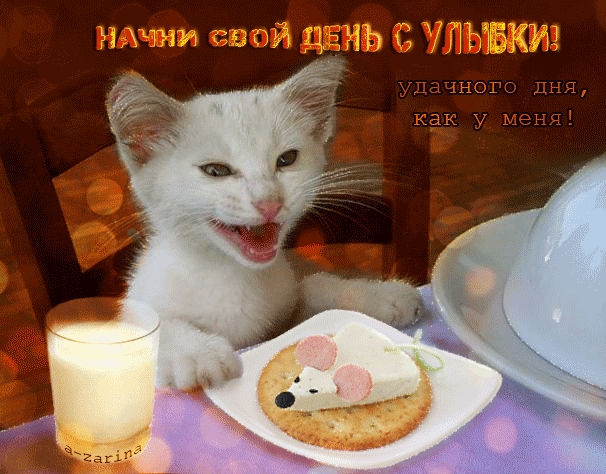 инт свой день УЛЫБКИ 1Дачнсш дня как у меня на