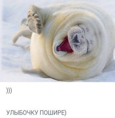УЛЫБОЧКУ ПОШИРЕ