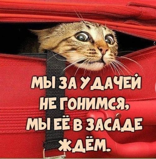 МЫ ЗА УААЧЁЙ НЁ ГОНИМСЯ МЫ ЁЁ В ЗАСААЁ ЖАЁМ