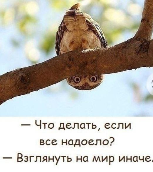Что делать если все надоело Взглянуть на мир иначе