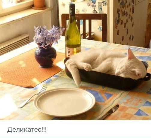 деликатес