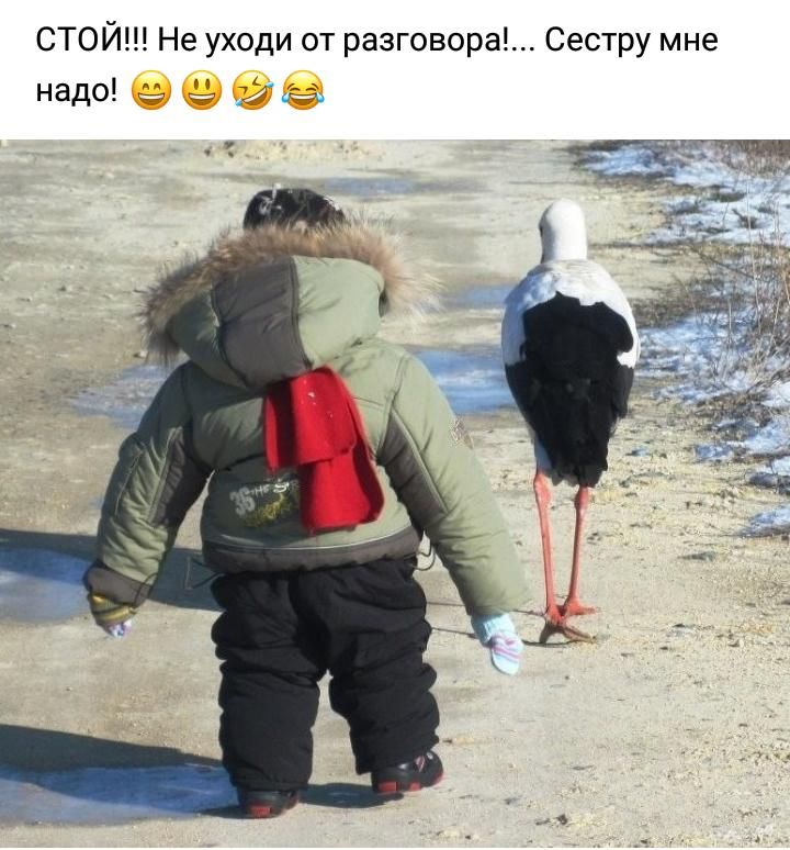 СТОЙ Не уходи от разговора Сестру мне надо 9969