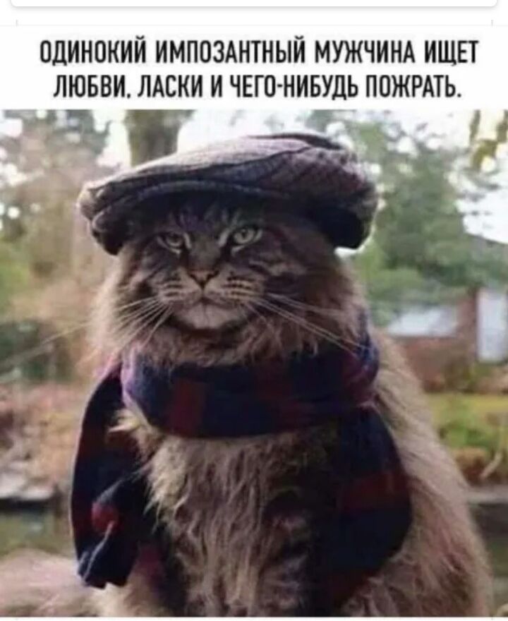 ОДИНОКИЙ ИМППЗАНТНЫИ МУЖЧИНА ИЩЕТ ЛЮБВИ ЛАСКИ И ЧЕГО НИБУДЬ ПОЖРАТЬ