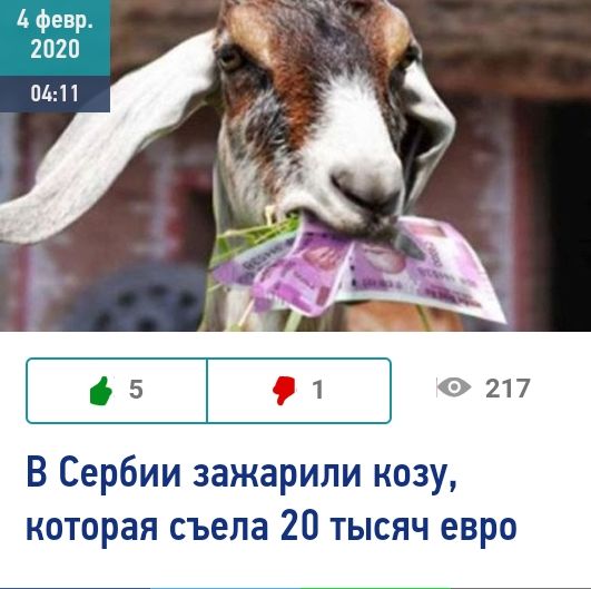 5 д 1 0 217 В Сербии зажарили козу которая съела 20 тысяч евро
