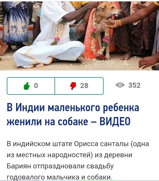 до _ 28 0352 В Индии маленького ребенка женили на собаке ВИДЕО В индийском штате Орисса сантапы одна из местных народностей из деревни Бариян отпраздновали свадьбу годовалого мальчика и собаки